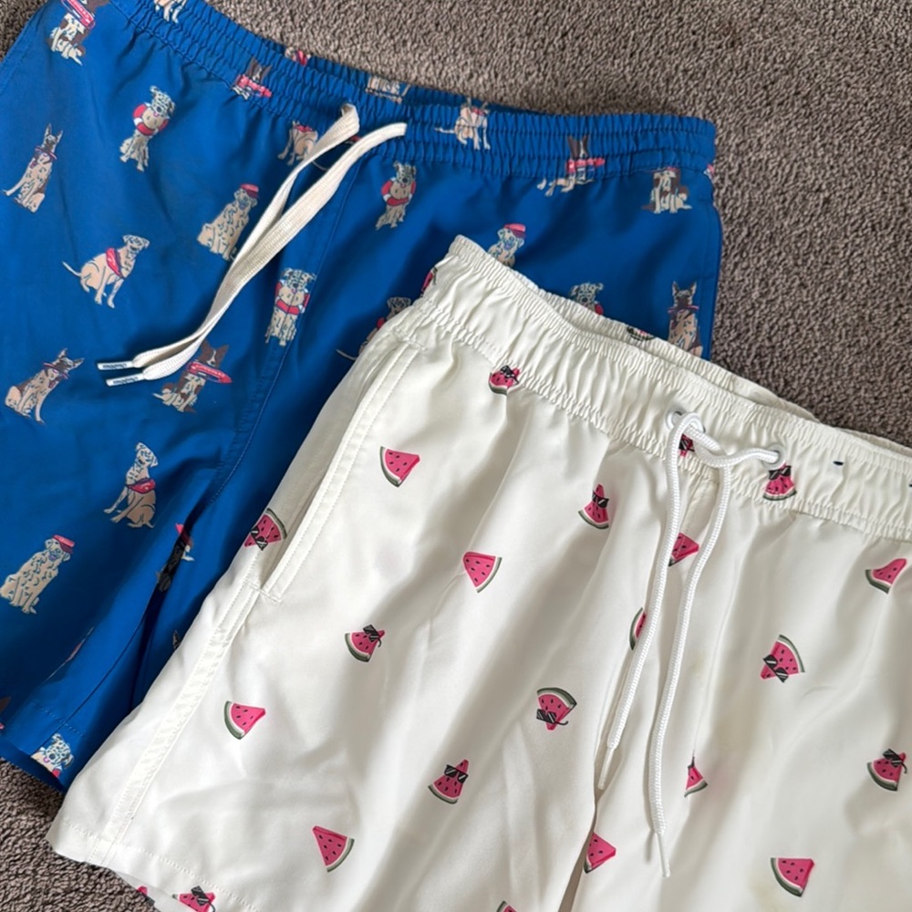 Youth Chubbies & Hollister Swim Trunk Bundle